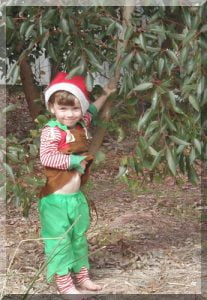 Christmas elf under a gum tree | love santa Young boy dressed as a Christmas elf and standing under a gum tree for an Aussie Christmas