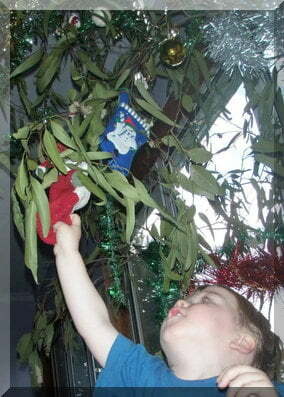 Decorating a gum tree for Christmas in Australia