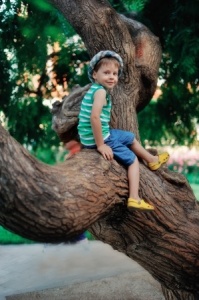 child sitting on a tree branch