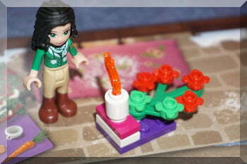 Lego figure of Emma beside a fire and flowers