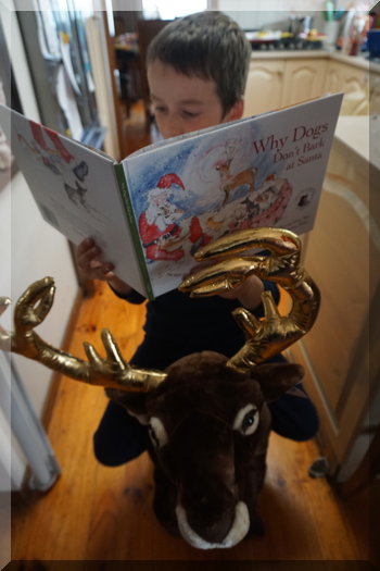 Boy riding a reindeer and reading a Christmas book