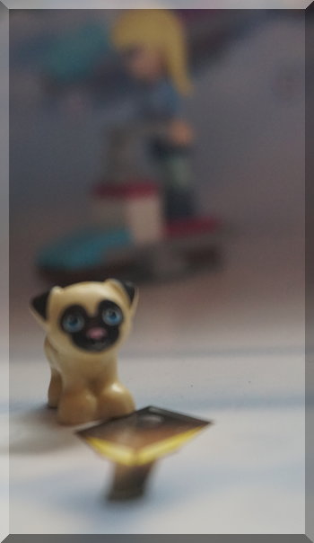 | love santa Lego pug dog in front of Stephanie on a ski mobile