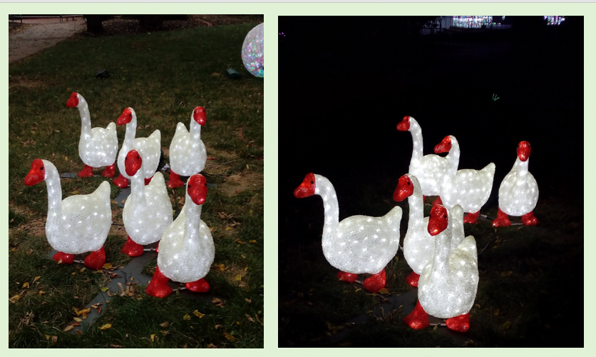 Christmas light geese