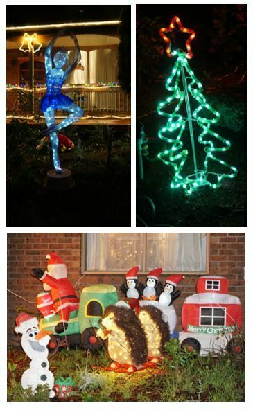 Christmas light display photos
