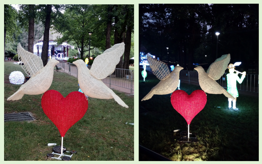 Turtle Doves on a love heart