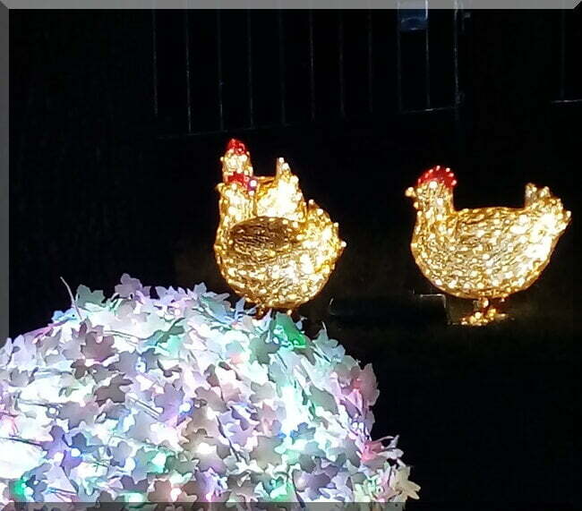 French Hens Christmas lights display