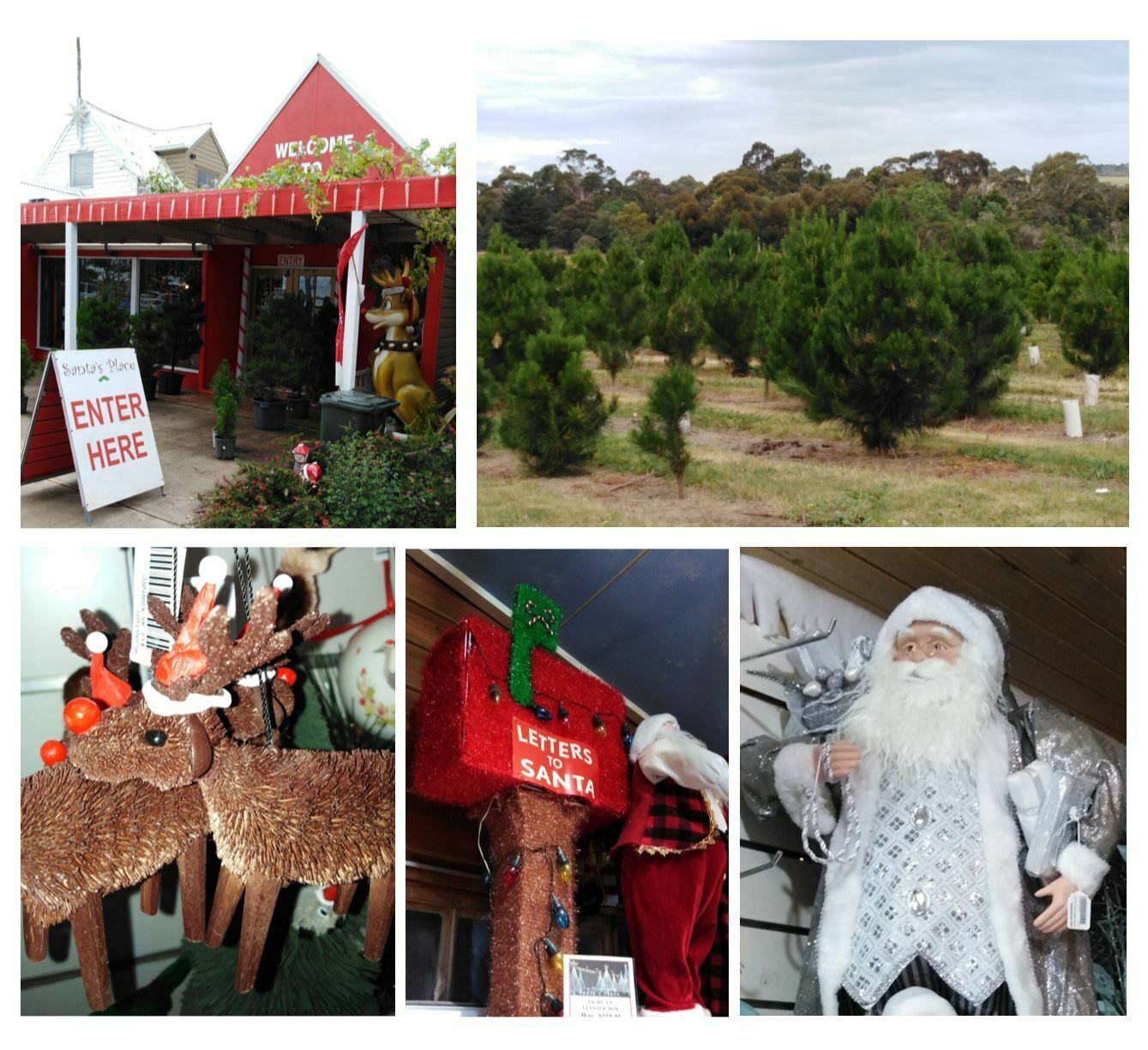 collage of photos fo Santa's Palce Christmas tree farm and shop