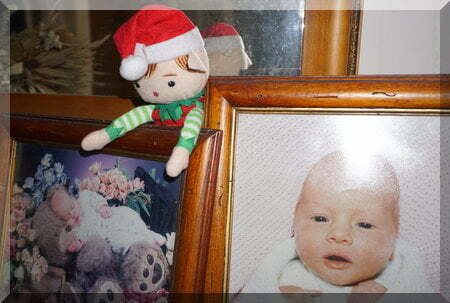 Tinkles the elf sitting on framed baby photos