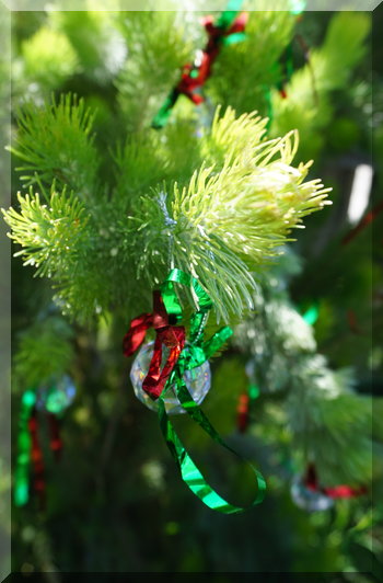 shiny glass bauble hanging in a bush in the sunshine