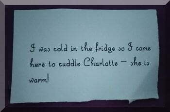 A note from the elf saying she was too cold in the fridge so cuddled into my bed instead!