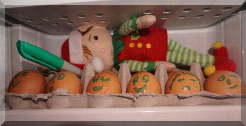 Tinkles the elf lying on eggs in the fridge, holding a texta