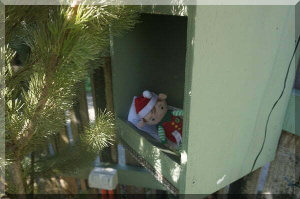 Christmas elf lying in a green wooden letterbox with a letter