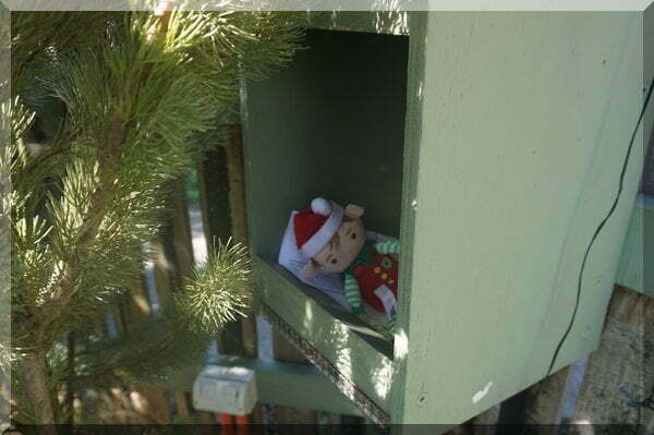 Elf_inside_letterbox_2_600 | love santa Christmas elf lying in a green wooden letterbox with a letter