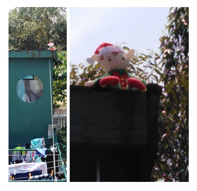 Ding dong elf on high!