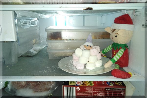 Christmas elf making a marshmallow igloo in the freezer