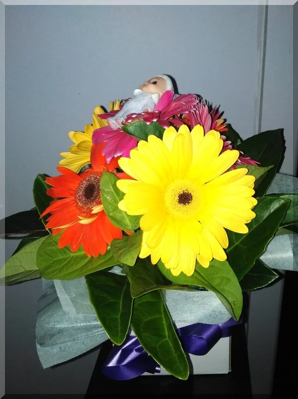 baby CHristmas elf lying on a pink gerbera amongst other gerberas