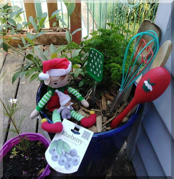 Two Christmas elves sitting in a pot plant with various spoons stuck upright - a personalised Spoonville!