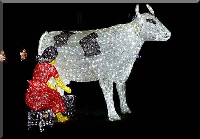 A maid milking a cow - Christmas lights