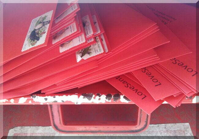 A pile of red envelopes being place in the slot of a red Australia Post letterbox