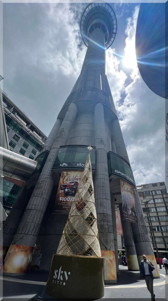 A Christmas tree in front of the 328m tall Sky Tower in Auckland - the tree is green with gold ribbons and looks small beside the tower!