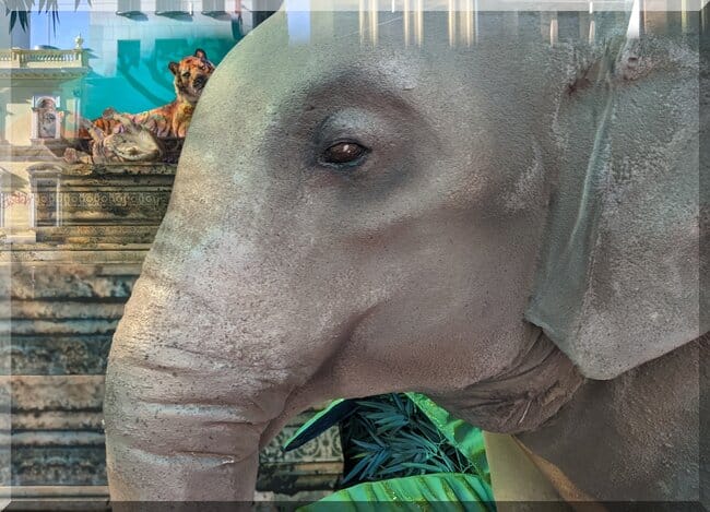 Myer windows 2024 elephant tiger-650x469 | love santa A majestic elephant face and trunk, with tiders on a rock ledge near by as part of the Irwin Christmas Story in the Myer windows 2024