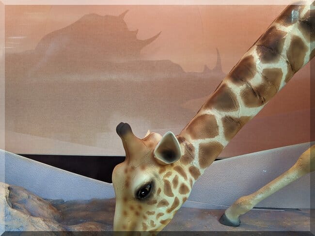 Myer_widnows_2024_australia_zoo_giraffe_face-650x487 | love santa Myer windows 2024 at Australia Zoo - showing a giraffe with a rhino silhouette