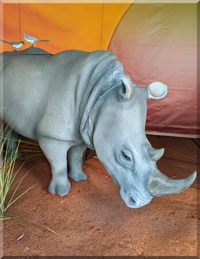 Myer_windows_2024_australia_zoo_rhinos_cats_650x840 | love santa A RHino with bird friends on his back at Australia Zoon in the Myer Melbourne Christmas 2024 windows